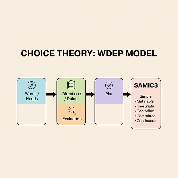 چارچوب WDEP و معیارهای SAMIC3 برای برنامه تغییر در افسردگی